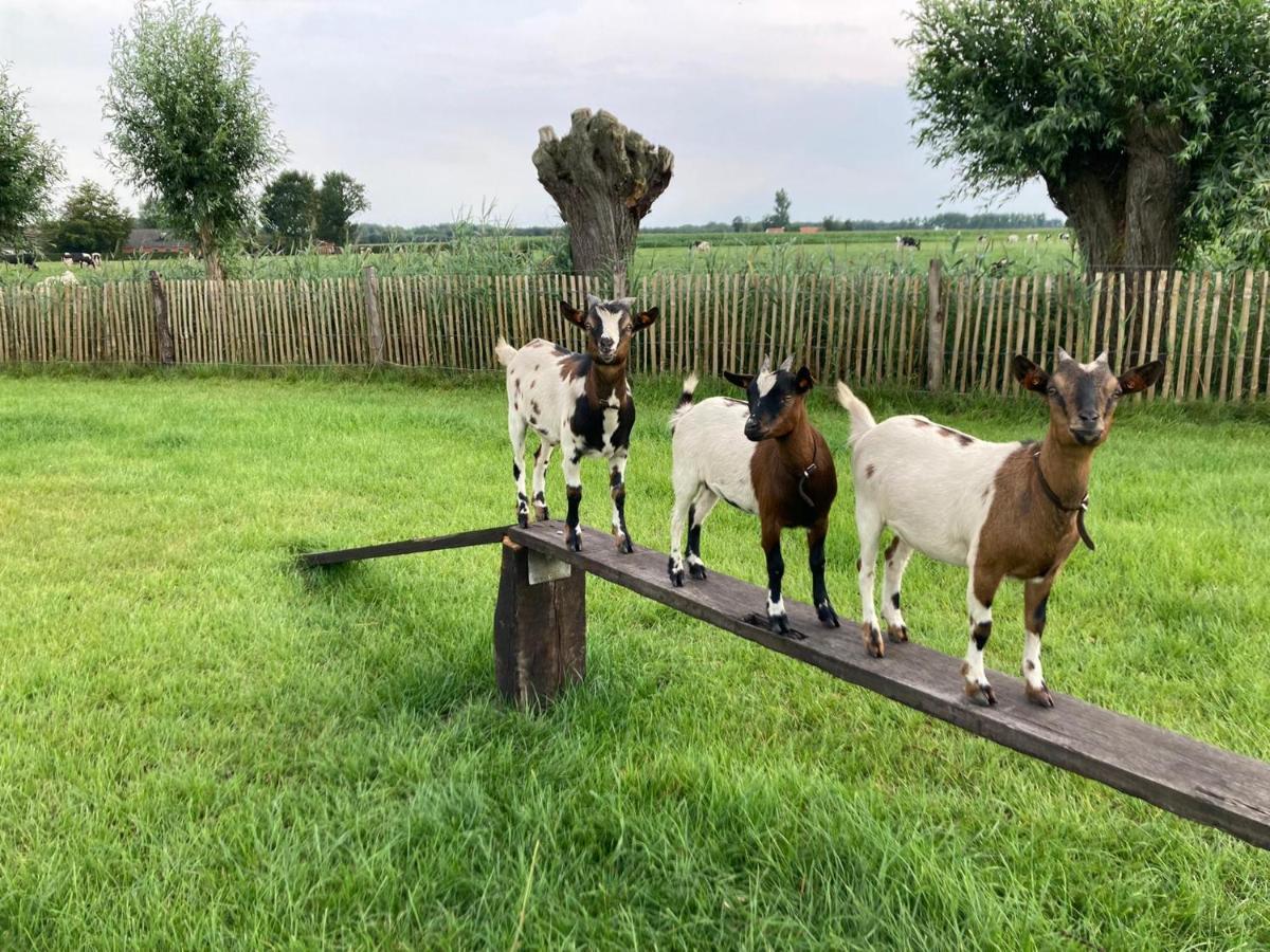 De Burkelhoeve Appc Maldegem Kültér fotó